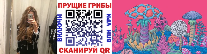 Псилоцибиновые грибы Psilocybine cubensis Пересвет